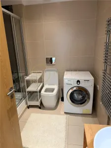 Apartament de 3 camere in zona Iancu Nicolae parcare - foto 22