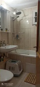 Apartament 4 camere, 2 bai, 5 minute de metrou Ap.Patriei - foto 11