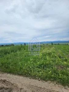 Teren Radaseni - Radaseni