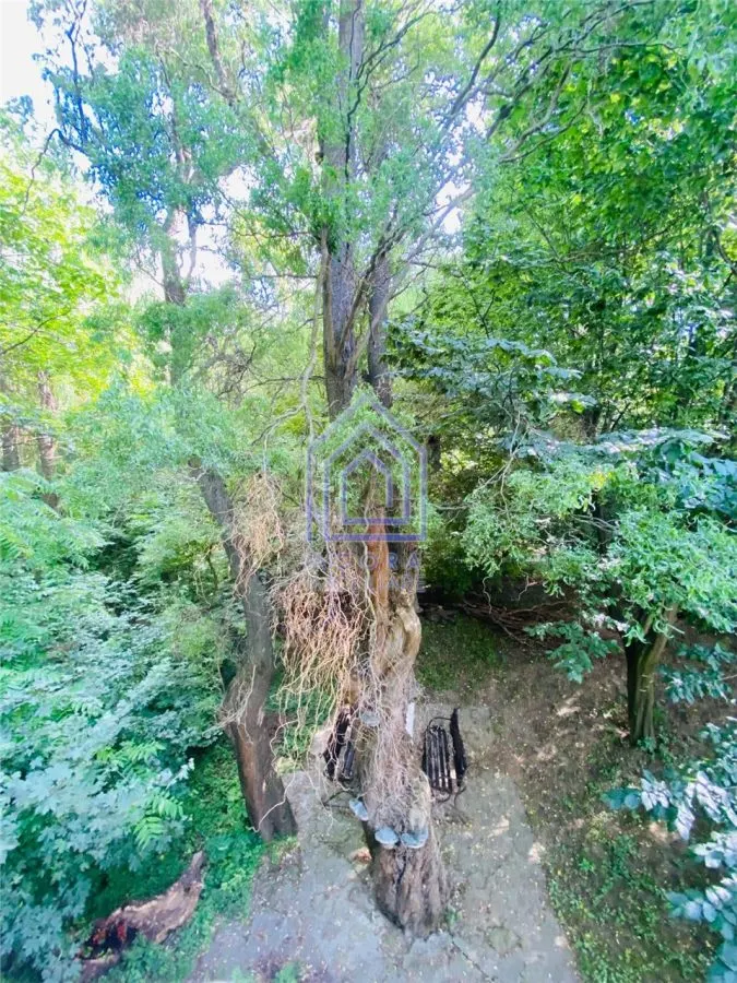 Teren premium cu 2 căsuțe în copac active în regim turistic - foto 11