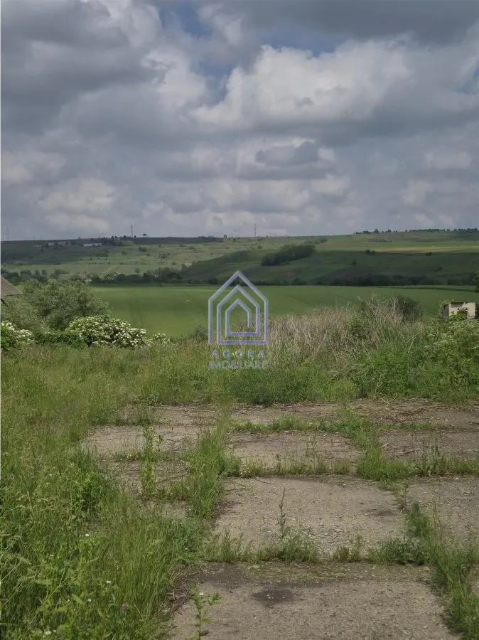 Teren intravilan Moara Nica - 1950 mp - foto 1