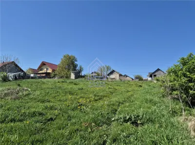 Teren intravilan Moara Nica - 1950 mp - foto 3