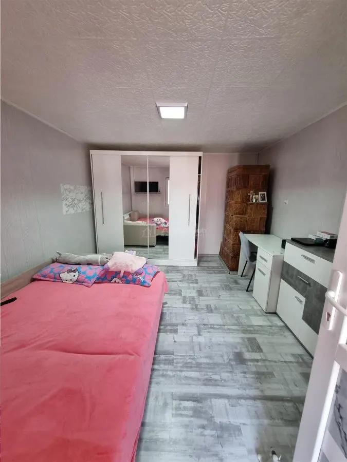 Casa  renovata in Branceni -str Dunarii - foto 7