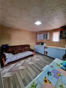 Casa  renovata in Branceni -str Dunarii - foto 10