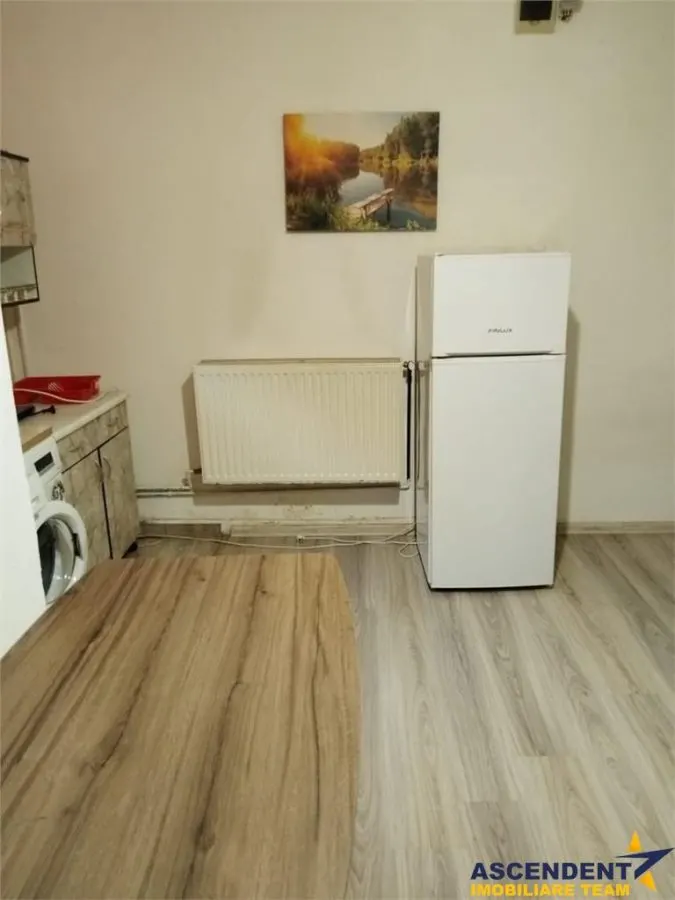 Garsoniera in vila, baie si bucatarie proprie, acces aproape independent, finisaje noi, investitie sau locuinta personala. - foto 19