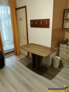 Garsoniera in vila, baie si bucatarie proprie, acces aproape independent, finisaje noi, investitie sau locuinta personala. - foto 20