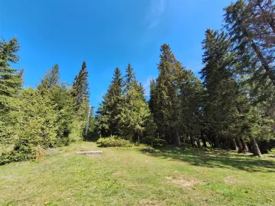 OCAZIE Parcela de vanzare 2250 mp  intravilan Paltinis! - foto 2