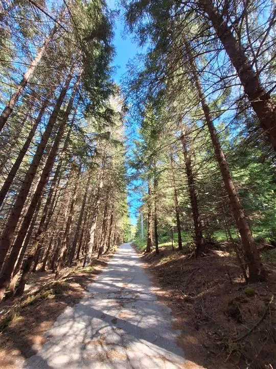 OCAZIE Parcela de vanzare 2250 mp  intravilan Paltinis! - foto 8