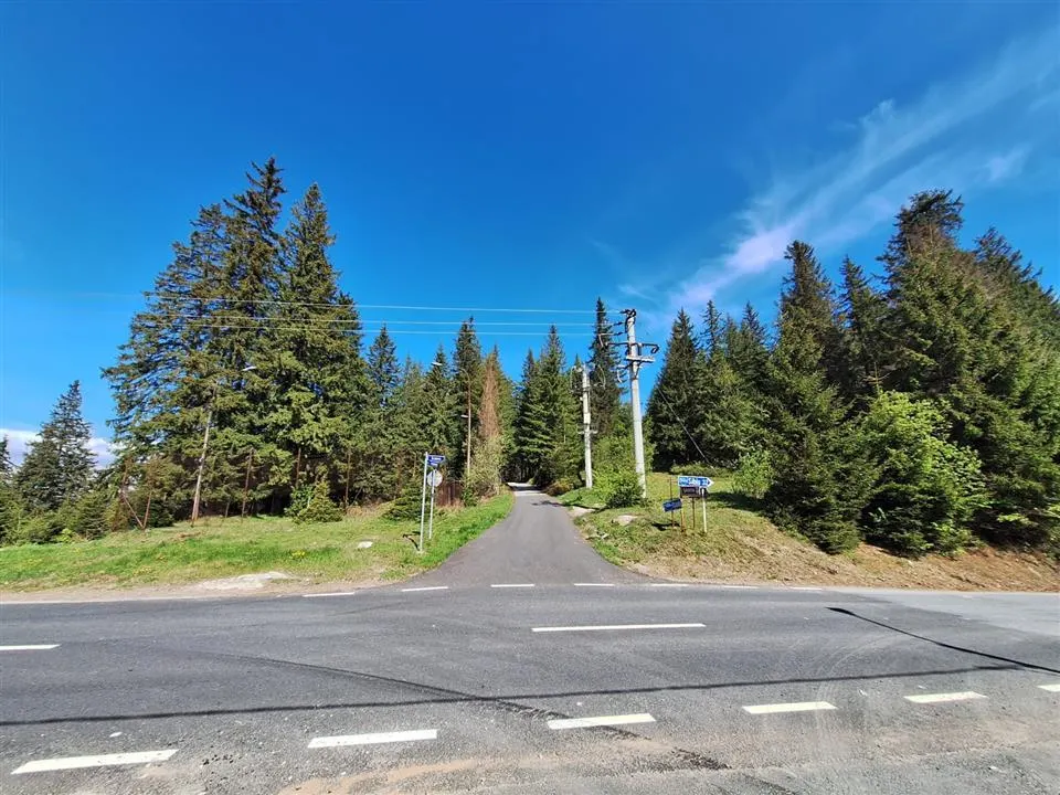 TEREN DE VANZARE 7000 MP INTRAVILAN -STATIUNEA PALTINIS! - foto 5