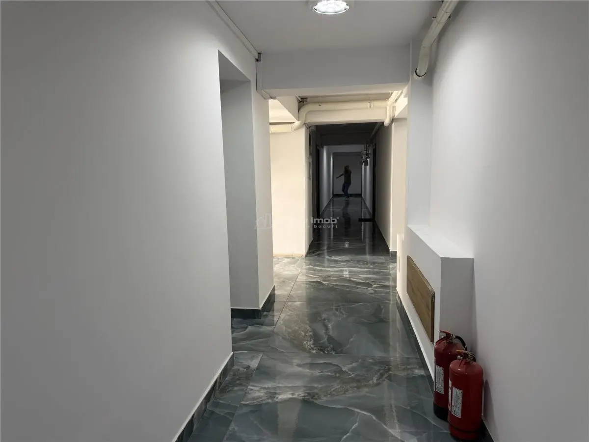 2 Camere dec Theodor Pallady - foto 8