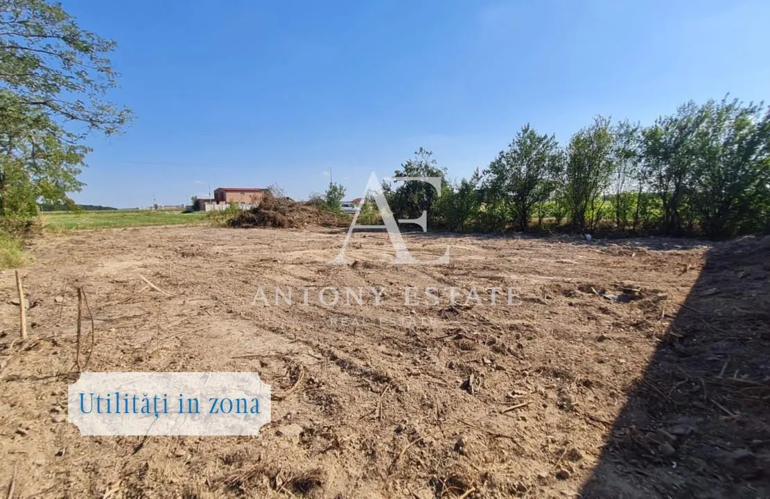 Antony Estate | Teren intravilan, de vanzare - Sanmartin, BH - foto 5