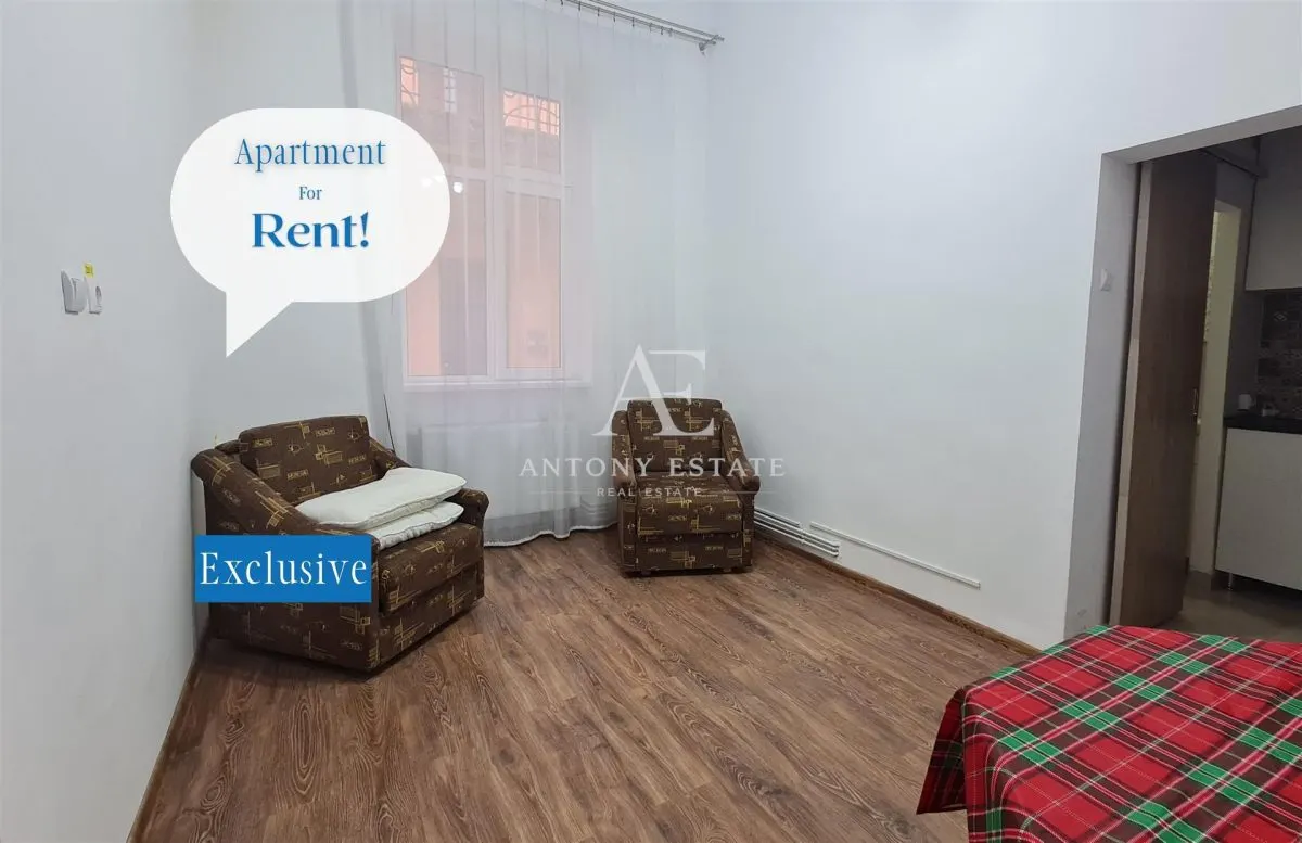 Antony Estate | Apartament de închiriat, 1 Camera, Ultra-Central, Oradea - foto 1