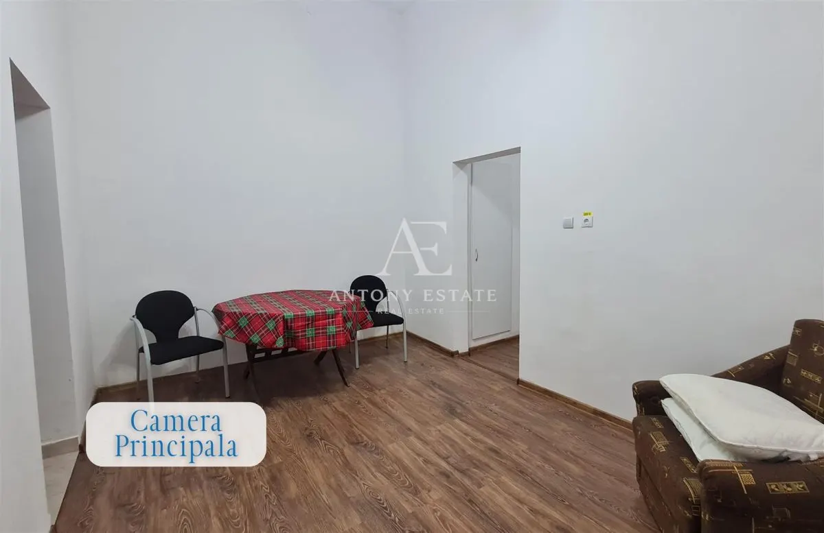 Antony Estate | Apartament de închiriat, 1 Camera, Ultra-Central, Oradea - foto 2