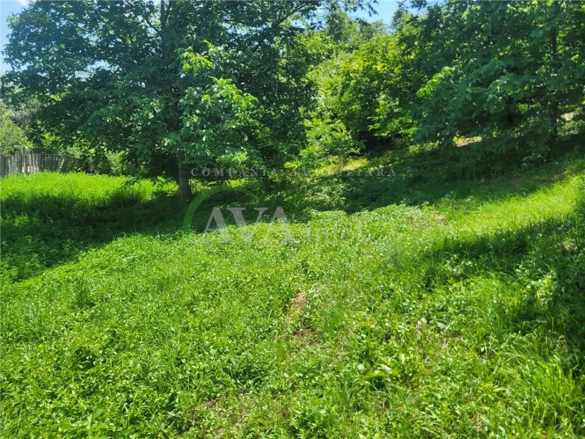 Teren intravilan 960 mp, zona Hemeius - foto 1