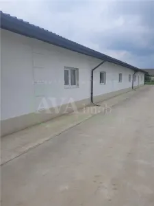 Hala de productie 370 mp renovata de inchiriat – Valea Seaca, la 10 minute de oras - foto 5