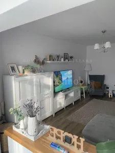 Apartament 2 camere decomandat,zona Milcov - foto 3