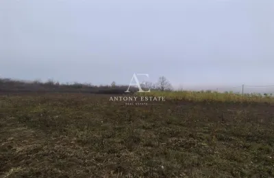 Antony Estate | Vanzare Teren Intravilan,40 euro/mp,Paleu,Oradea - foto 3