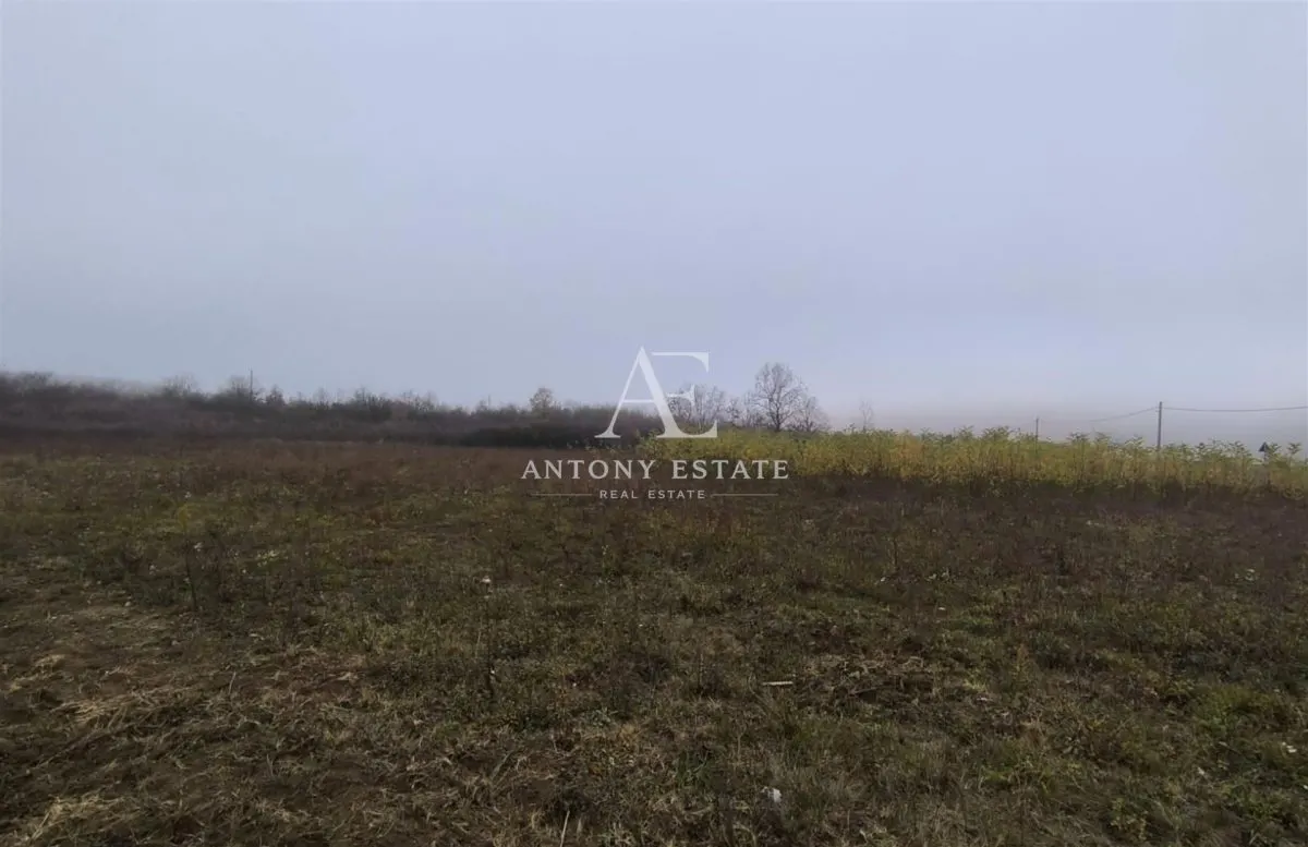 Antony Estate | Vanzare Teren Intravilan,40 euro/mp,Paleu,Oradea - foto 3