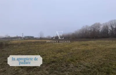 Antony Estate | Vanzare Teren Intravilan,40 euro/mp,Paleu,Oradea - foto 4
