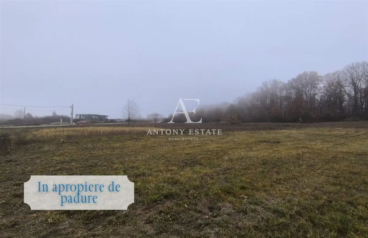 Antony Estate | Vanzare Teren Intravilan,40 euro/mp,Paleu,Oradea - foto 4