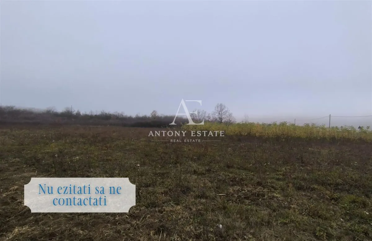 Antony Estate | Vanzare Teren Intravilan,40 euro/mp,Paleu,Oradea - foto 7