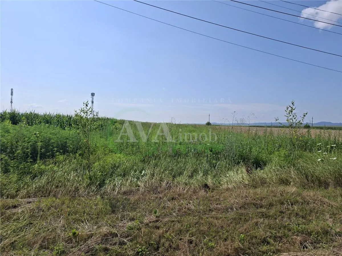 Teren intravilan 1600 mp, zona Nicolae Balcescu - foto 11