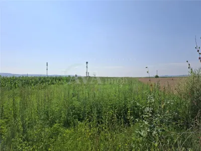 Teren intravilan 1600 mp, zona Nicolae Balcescu - foto 13