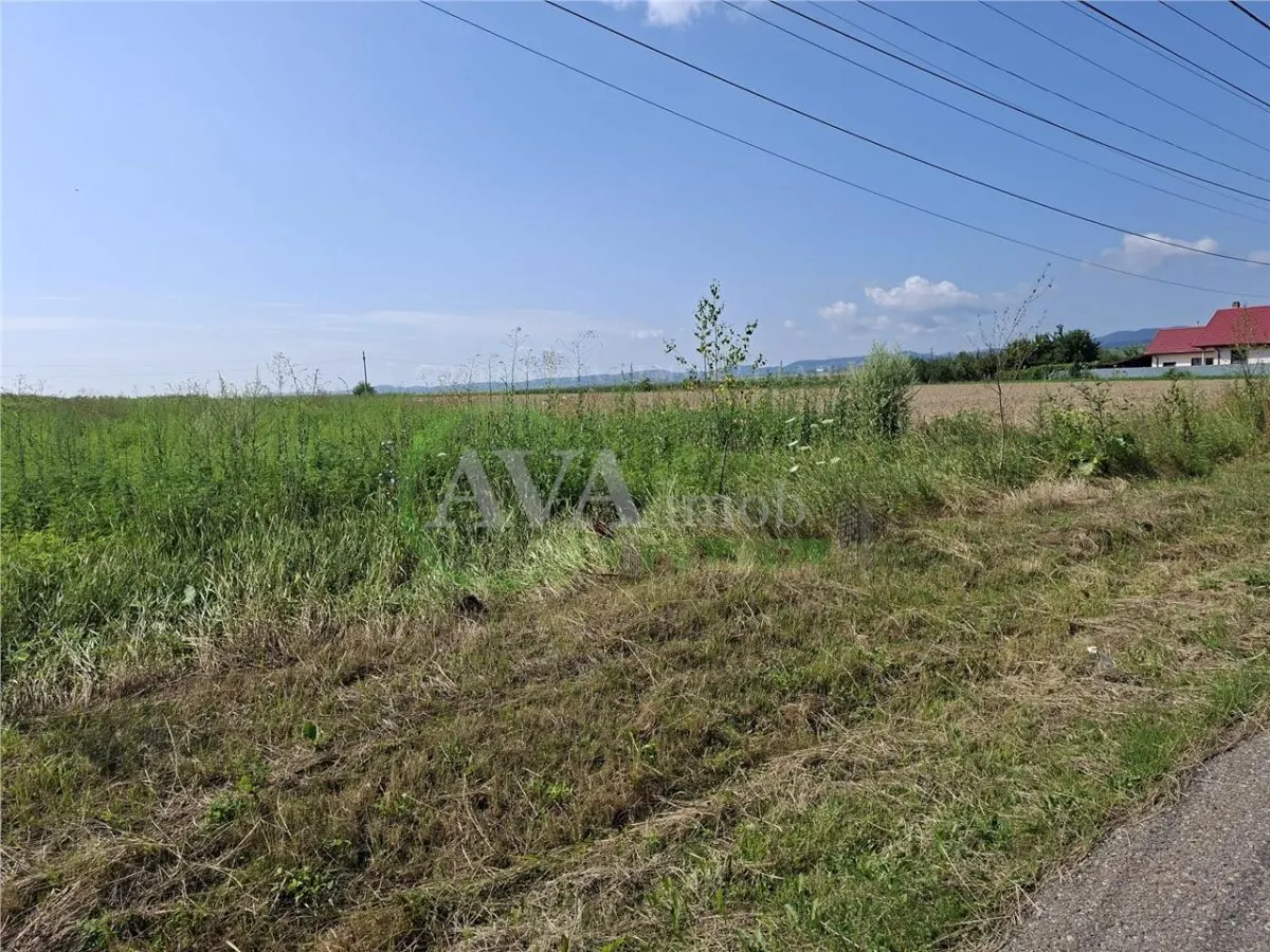 Teren intravilan 1600 mp, zona Nicolae Balcescu - foto 3