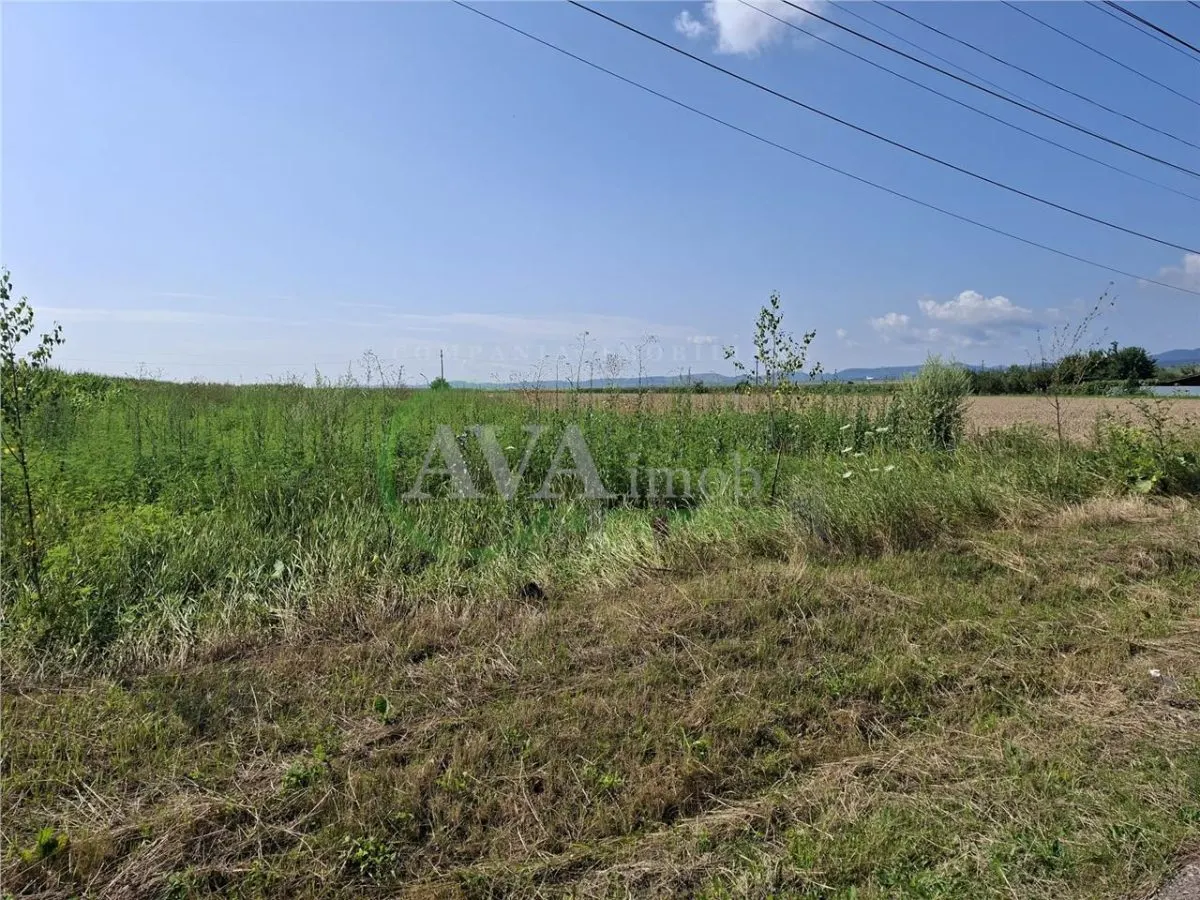 Teren intravilan 1600 mp, zona Nicolae Balcescu - foto 4