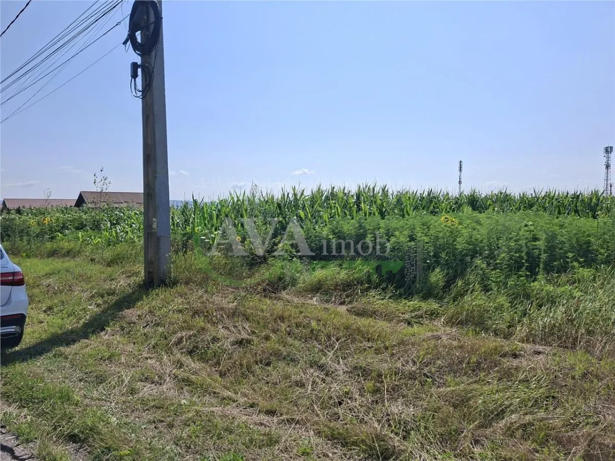 Teren intravilan 1600 mp, zona Nicolae Balcescu - foto 5