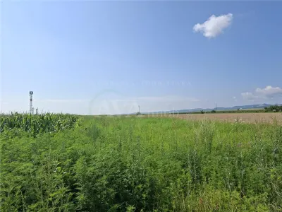 Teren intravilan 1600 mp, zona Nicolae Balcescu - foto 9