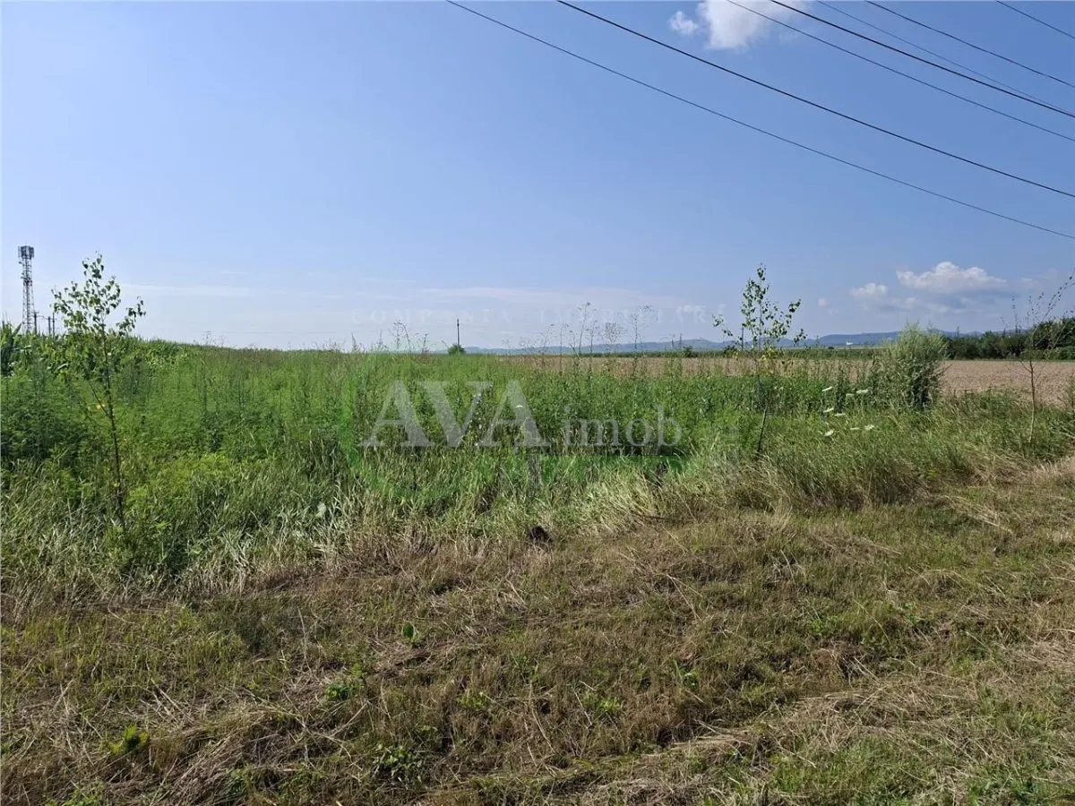 Teren intravilan 1600 mp, zona Nicolae Balcescu - foto 10