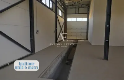 Antony Estate | Hala Industriala, Depozit, Atelier, de inchiriat,Str. Uzinelor, Oradea - foto 3