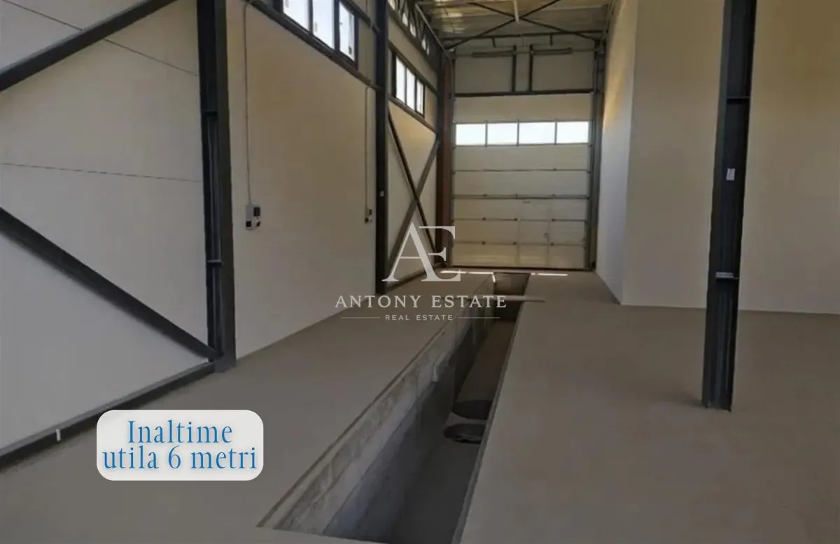 Antony Estate | Hala Industriala, Depozit, Atelier, de inchiriat,Str. Uzinelor, Oradea - foto 3