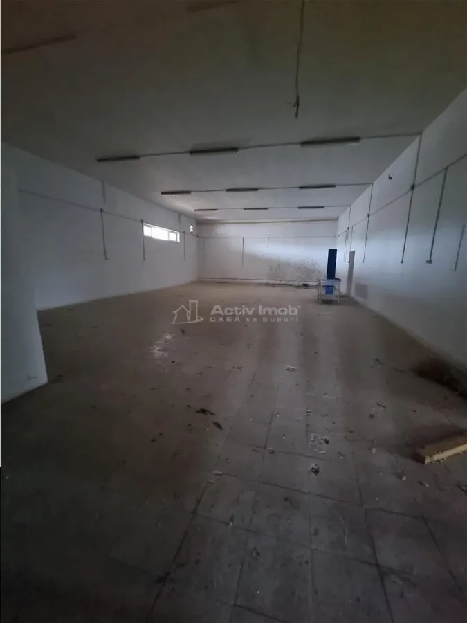 Hală productie  spatiu industrial  si birouri Alexandria - foto 2