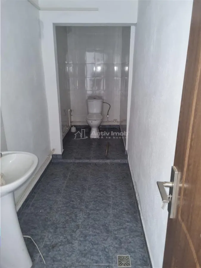 Hală productie  spatiu industrial  si birouri Alexandria - foto 12