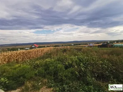 Teren intravilan | 4031 mp | 15.6 ml deschidere | Curent + apa - Zona Sarata - Bacau