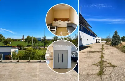 Antony Estate | Vanzare Hala - 2019 mp, Borsului - Oradea - foto 9
