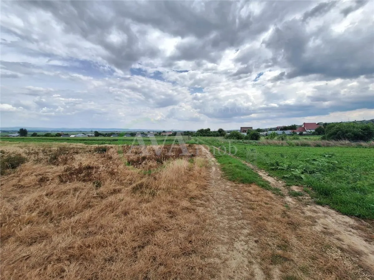 Teren intravilan 2700 mp, deschidere 123 ml, zona Hemeiusi - foto 4