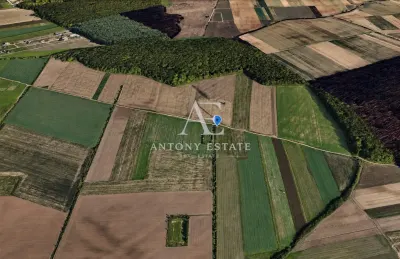 Antony Estate | Teren 500 mp pe Centura Nojorid, iesire din Grigorescu, ideal pentru investitie - Oradea