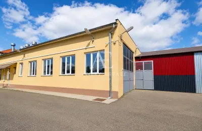 Antony Estate | Spatiu Comercial de inchiriat, Zona Ultracentrala, Oradea - Oradea