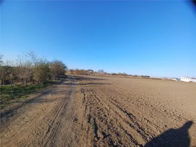 Teren Oltenitei Frumusani Stradal- Mega Image - foto 3