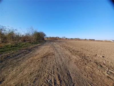 Teren Oltenitei Frumusani Stradal- Mega Image - foto 5