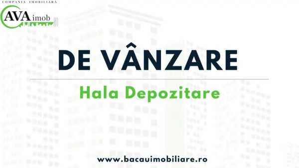 Spațiu industrial Bacău - poza 1