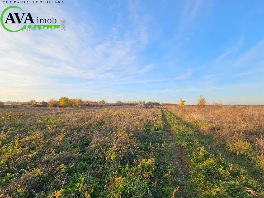 De vanzare ferma agricola cu facilitati multiple in Margineni, langa Diana Forest - foto 4
