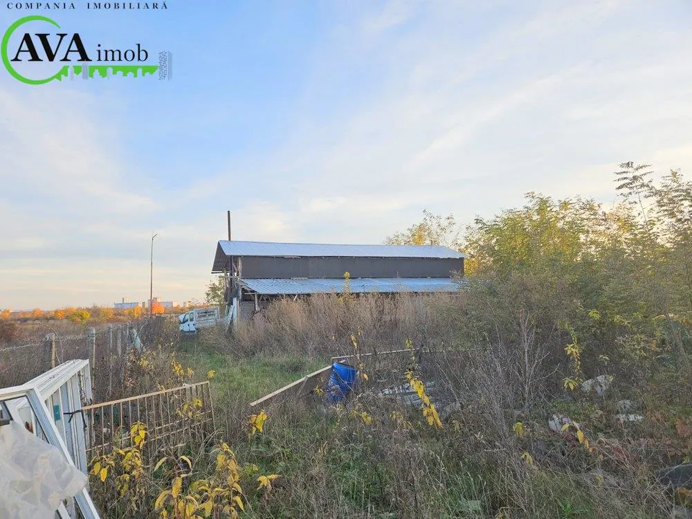 De vanzare ferma agricola cu facilitati multiple in Margineni, langa Diana Forest - foto 8