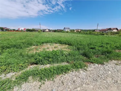 Teren intravilan 3177 mp, zona Serbanesti - Bacau