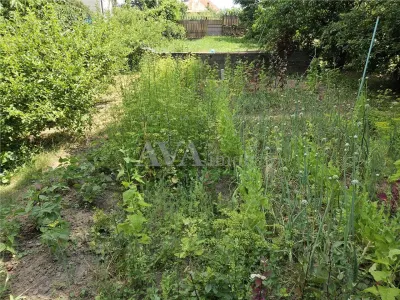 Casă 4 camere Bacău - poza 11