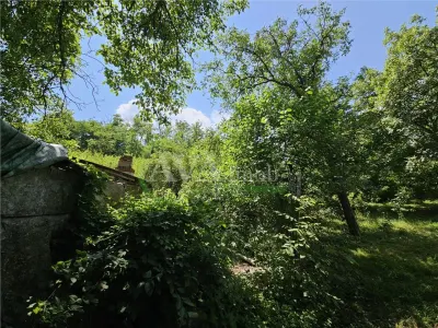 Casă 4 camere Bacău - poza 13
