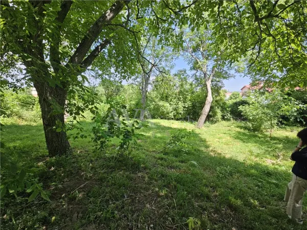 Casă 4 camere Bacău - poza 15